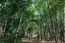 Imagen Parque de la Salud de Cartago